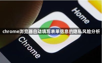chrome浏览器自动填写表单信息的隐私风险分析1
