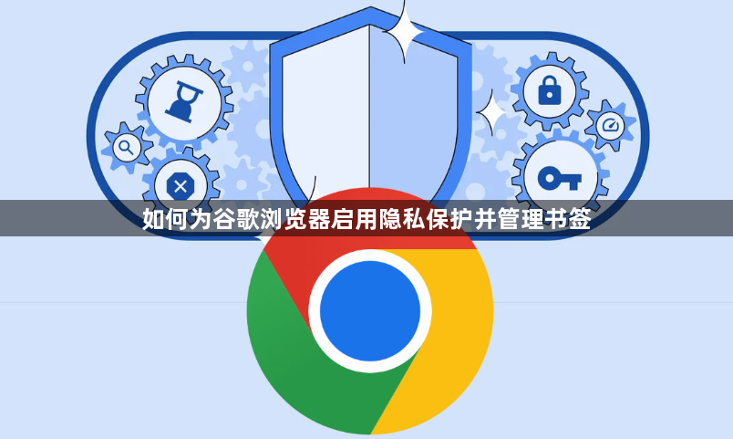 如何为谷歌浏览器启用隐私保护并管理书签1