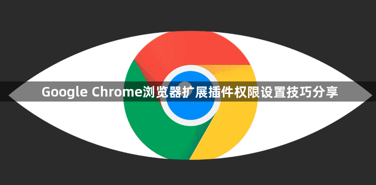 Google Chrome浏览器扩展插件权限设置技巧分享1