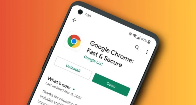 Chrome浏览器自动填充密码安全设置1
