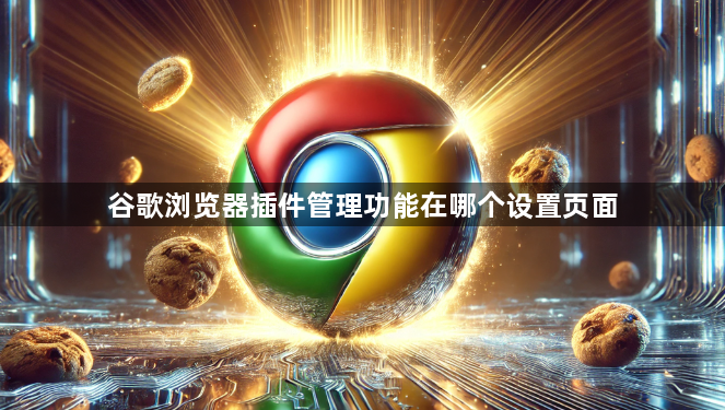 谷歌浏览器插件管理功能在哪个设置页面1
