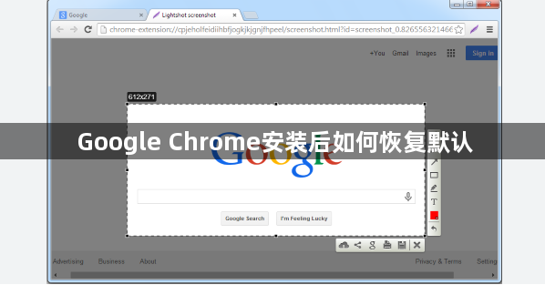 Google Chrome安装后如何恢复默认1