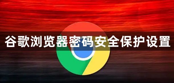 谷歌浏览器密码安全保护设置1
