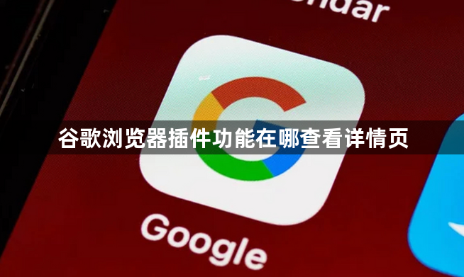 谷歌浏览器插件功能在哪查看详情页1