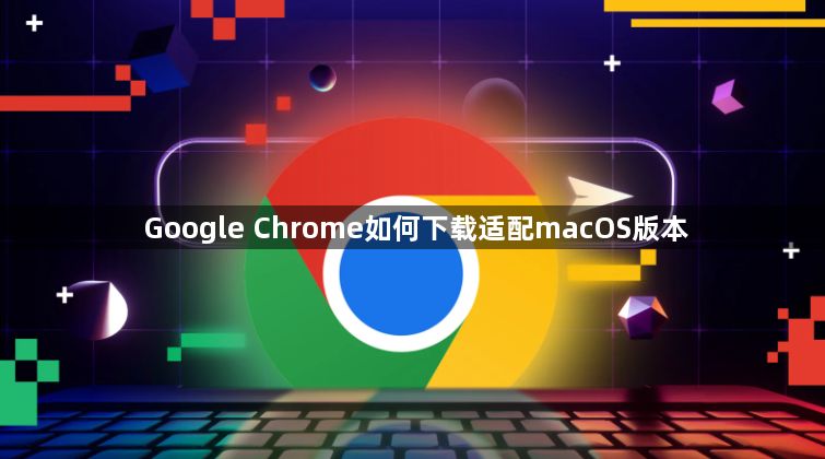 Google Chrome如何下载适配macOS版本1