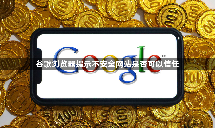 谷歌浏览器提示不安全网站是否可以信任1