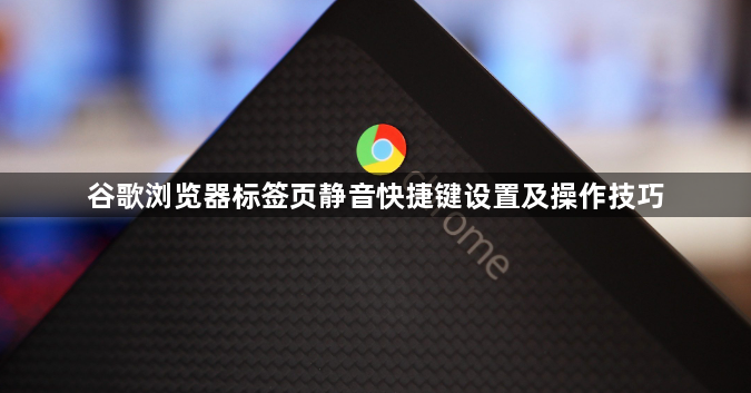 谷歌浏览器标签页静音快捷键设置及操作技巧1