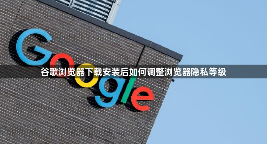 谷歌浏览器下载安装后如何调整浏览器隐私等级1