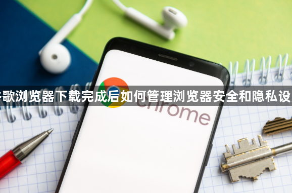 谷歌浏览器下载完成后如何管理浏览器安全和隐私设置1