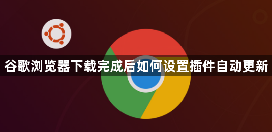谷歌浏览器下载完成后如何设置插件自动更新1